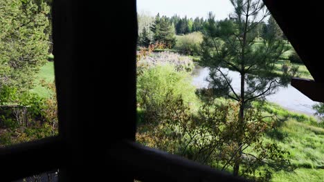 Pond-With-Green-Vegetation-From-Vacation-Lodge-At-Sunriver-Resort-In-Oregon,-USA