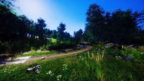 lush green pathway winding through a serene forest landscape in daylight