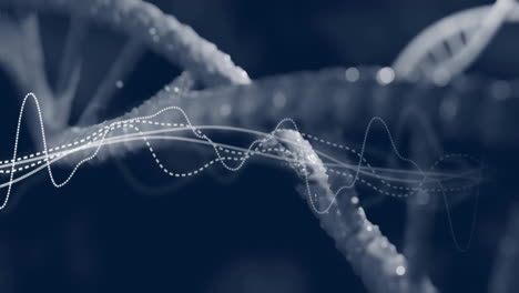 animation of diagrams over dna strand