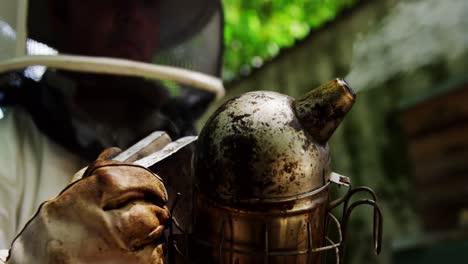 beekeeper smoking the beehive using a hive smoker