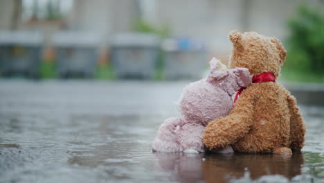 dos amigos - una liebre y un cachorro de oso están sentados en el asfalto bajo la lluvia miran los botes de basura en