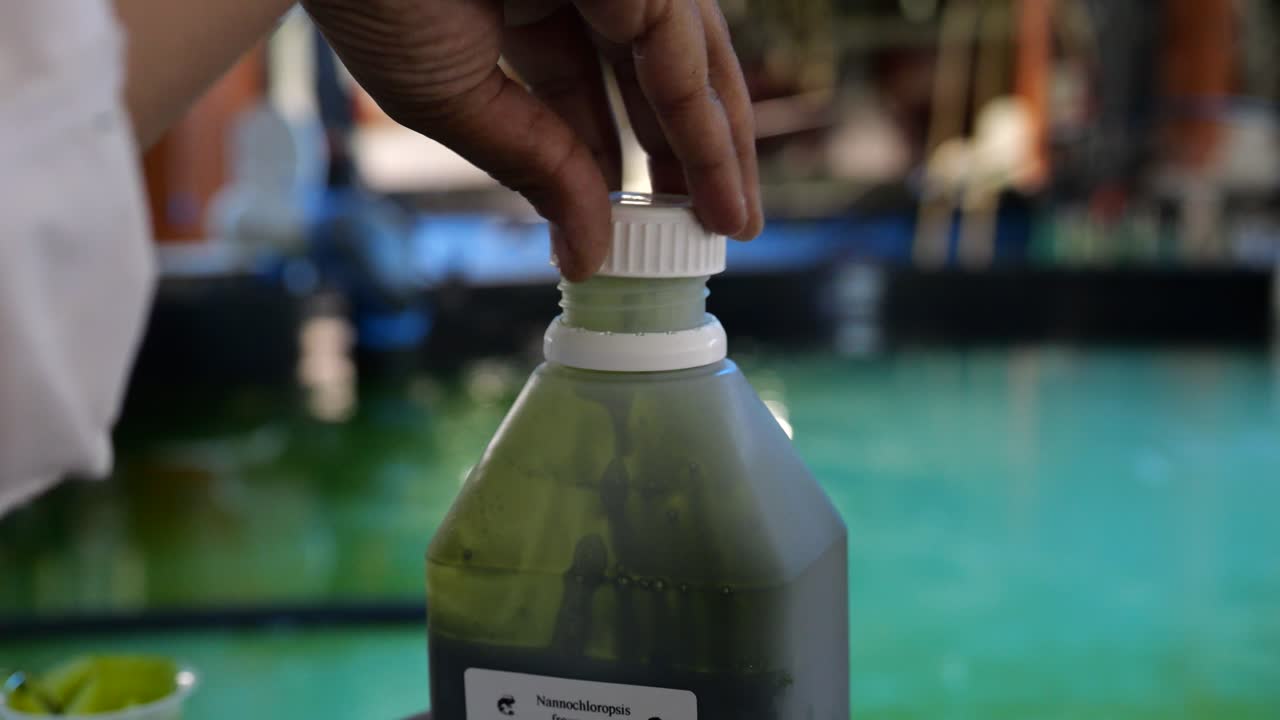 A person returns the lid to a nutrient mix bottle on the side of a fish tank