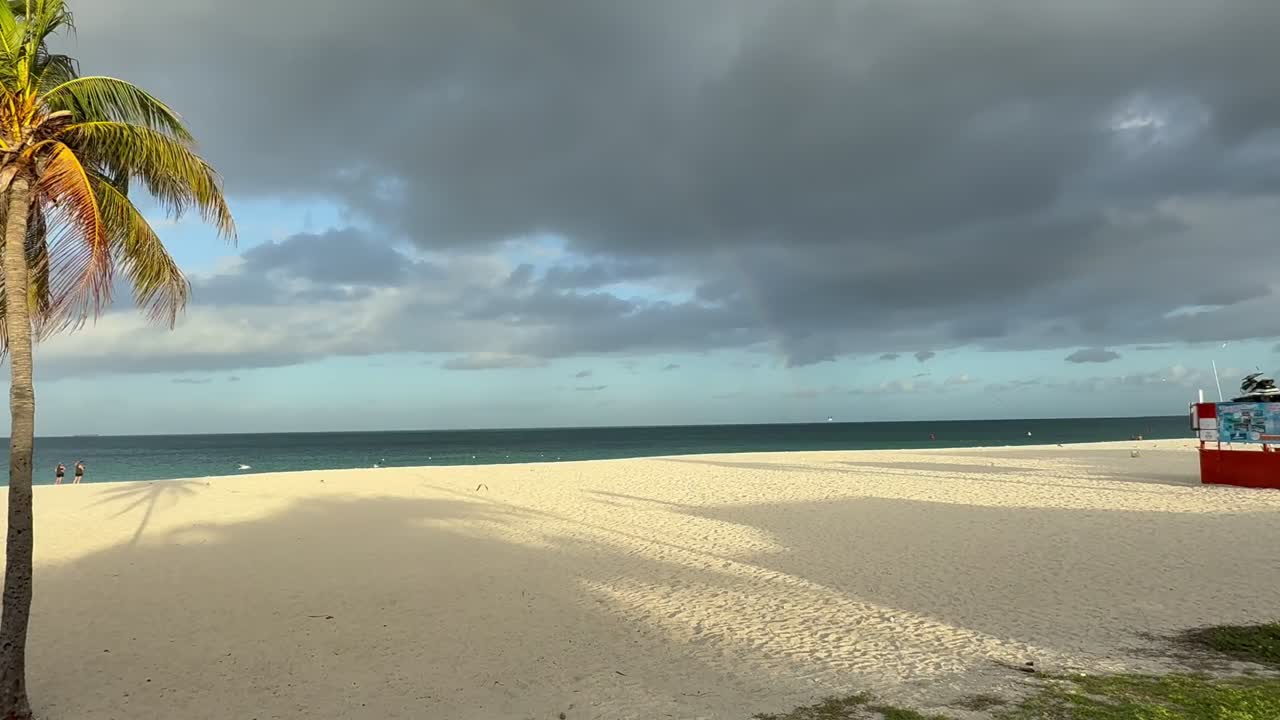 Barrido panorámico tomado en la hora dorada que muestra la amplia playa en Eagle Beach con una solitaria palmera en primer plano