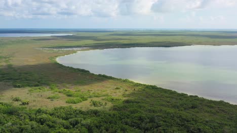 panorámica aérea del vasto bosque natural en el lago de manglares de sian ka'an en méxico