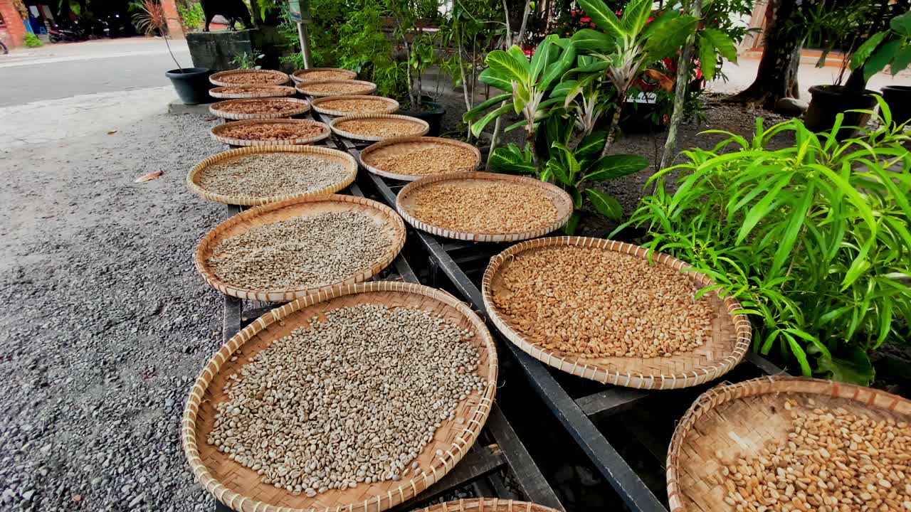 Luwak Coffee Beans in bowl at street for selling in Indonesia,close up orbit