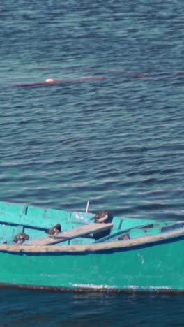 teal-colored boat with birds on water