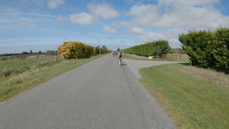 solo rider attempts to break away from bunch in a road race - north canterbury