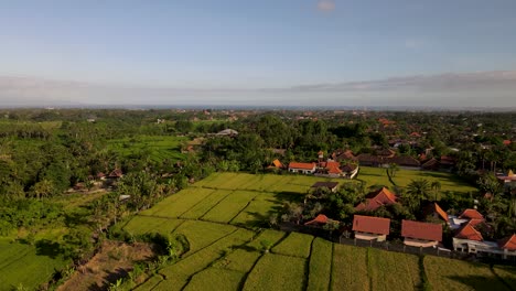 Aerial-view-of-Canggu-Village-and-its-surrounding-farmlands-in-Badung-Regency,-Bali,-Indonesia