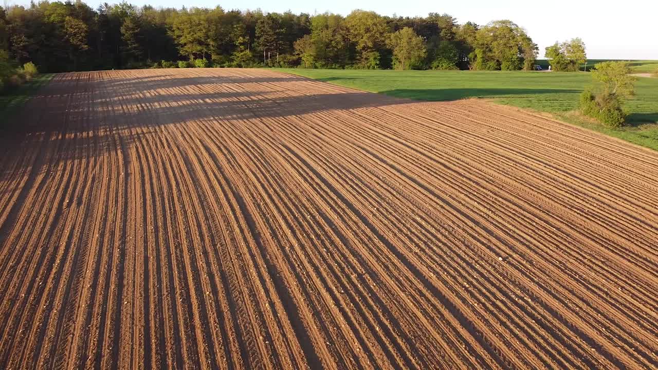 Drohnenflug über Felder im Frühling mit Wald im Hintergrund