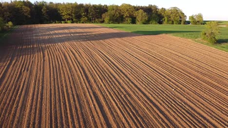 Vuelo-De-Drones-Sobre-Algunos-Campos-En-Primavera-Con-Bosque-En-El-Fondo