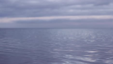 flotando sobre la superficie del tranquilo mar báltico con un pájaro volando por el horizonte en la distancia en una noche nublada en letonia