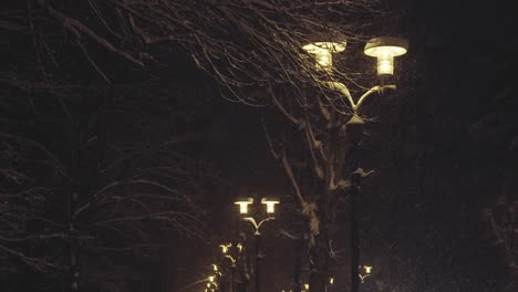 snowy winter park with light pole emitting incandescent light during snowfall