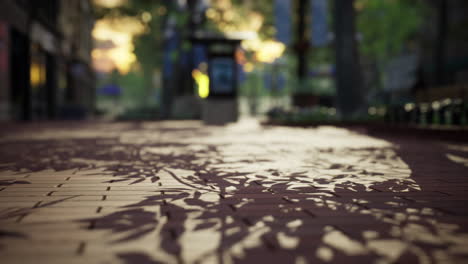quiet city park with trees and benches