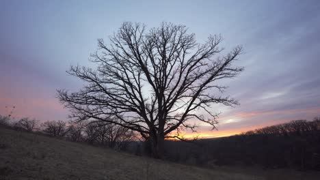 sunset in rural wisconsin during spring.