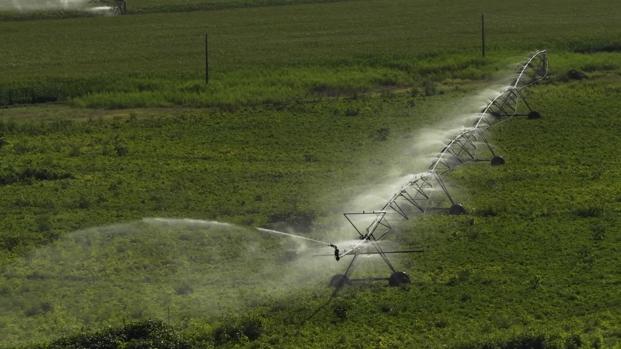 Riprese da drone catturano un grande sistema di irrigazione a pivot centrale che spruzza acqua su terreni agricoli lussureggianti e illuminati dal sole. L'ampia inquadratura evidenzia campi verdi, agricoltura moderna e irrigazione automatizzata delle colture.