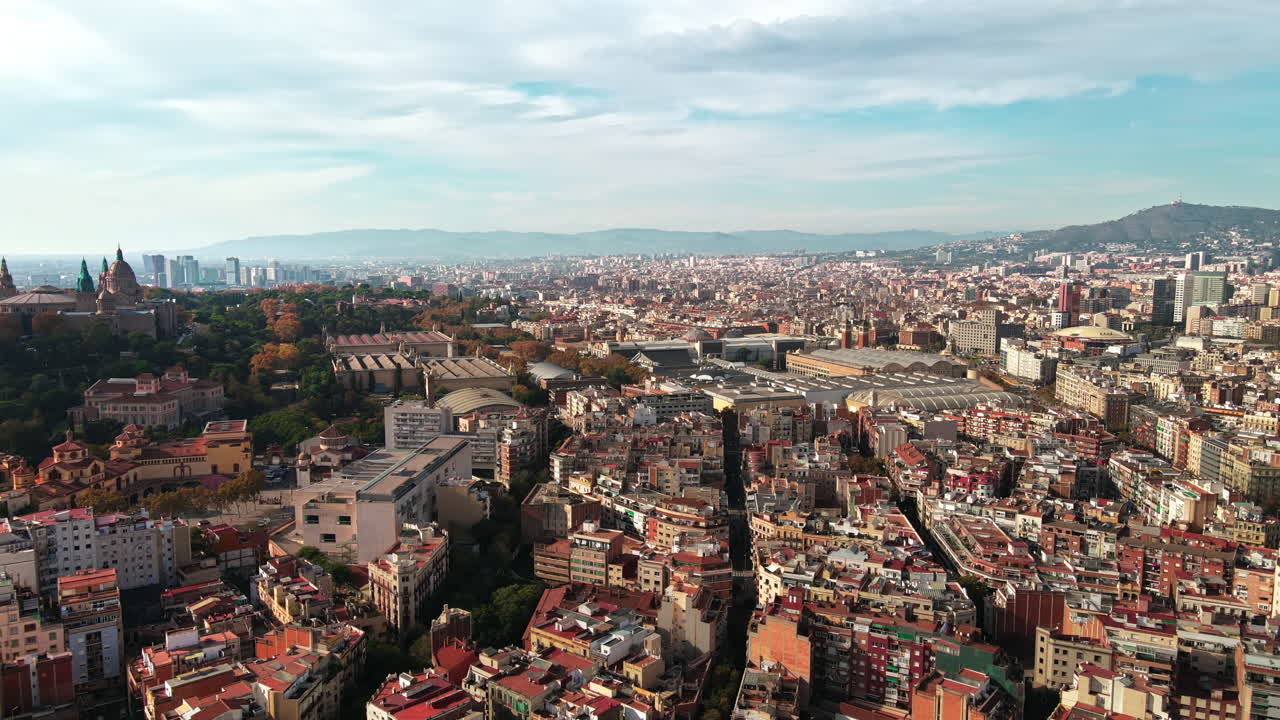 Aerial drone view of Barcelona city at daylight. Montjuic district. Spain
