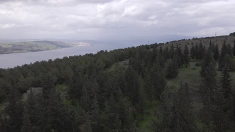 Israel,-Golan-Heights-landscape-from-the-air-with-drone,-lakes-and-pine-forest