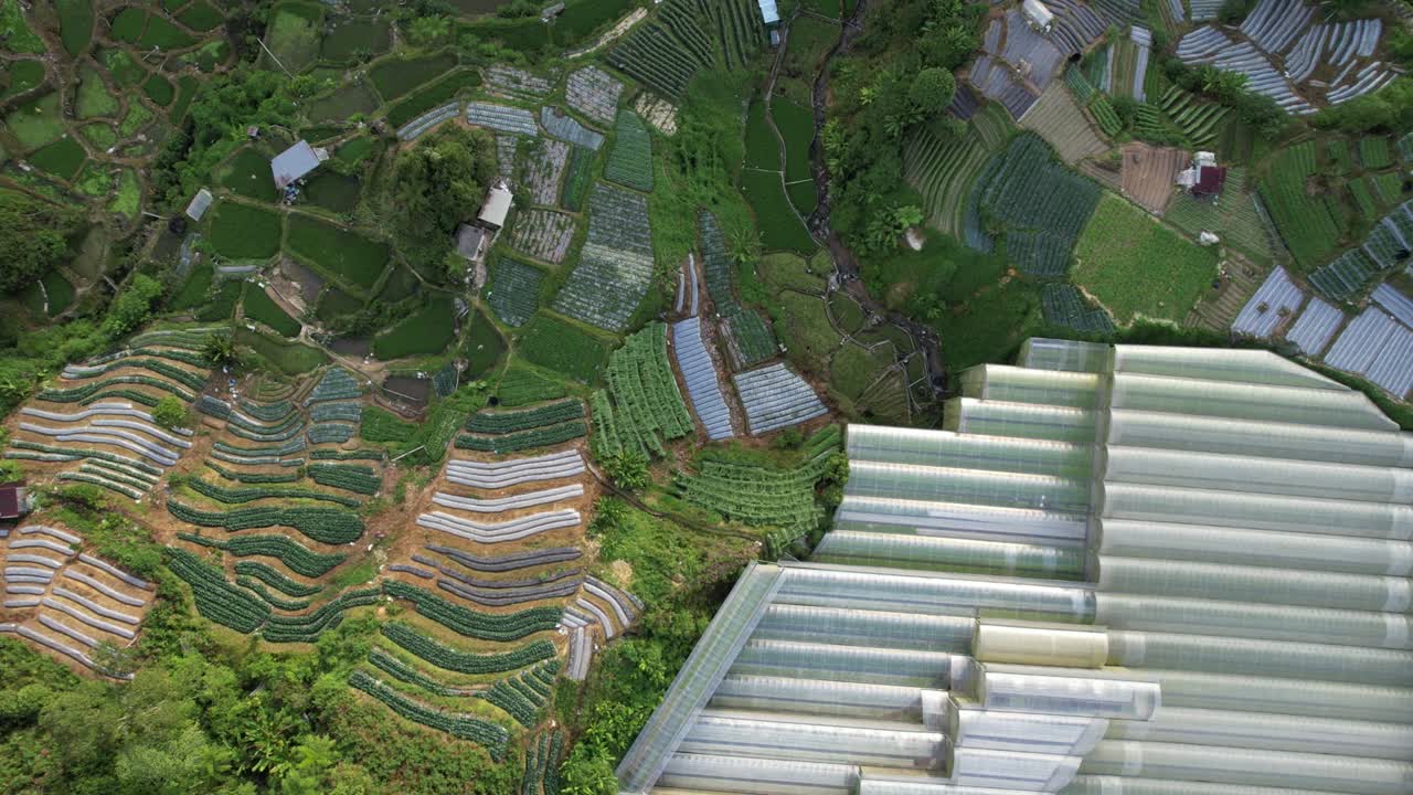 vista general del paisaje del distrito de brinchang dentro del área de cameron highlands de malasia