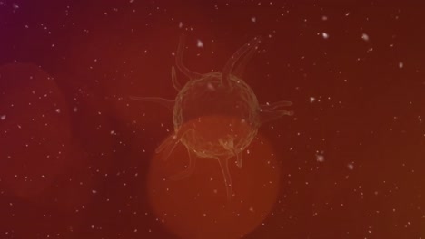animation of moving cells over red background