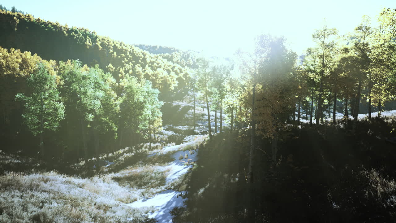 해가 지는 때 태양이 비추는 산들 사이에 가을의 나무가 있는 계곡