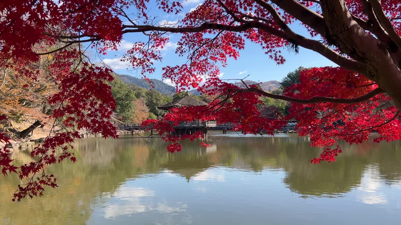 Stunning Pagoda on lake with vibrant fall colors, push in shot