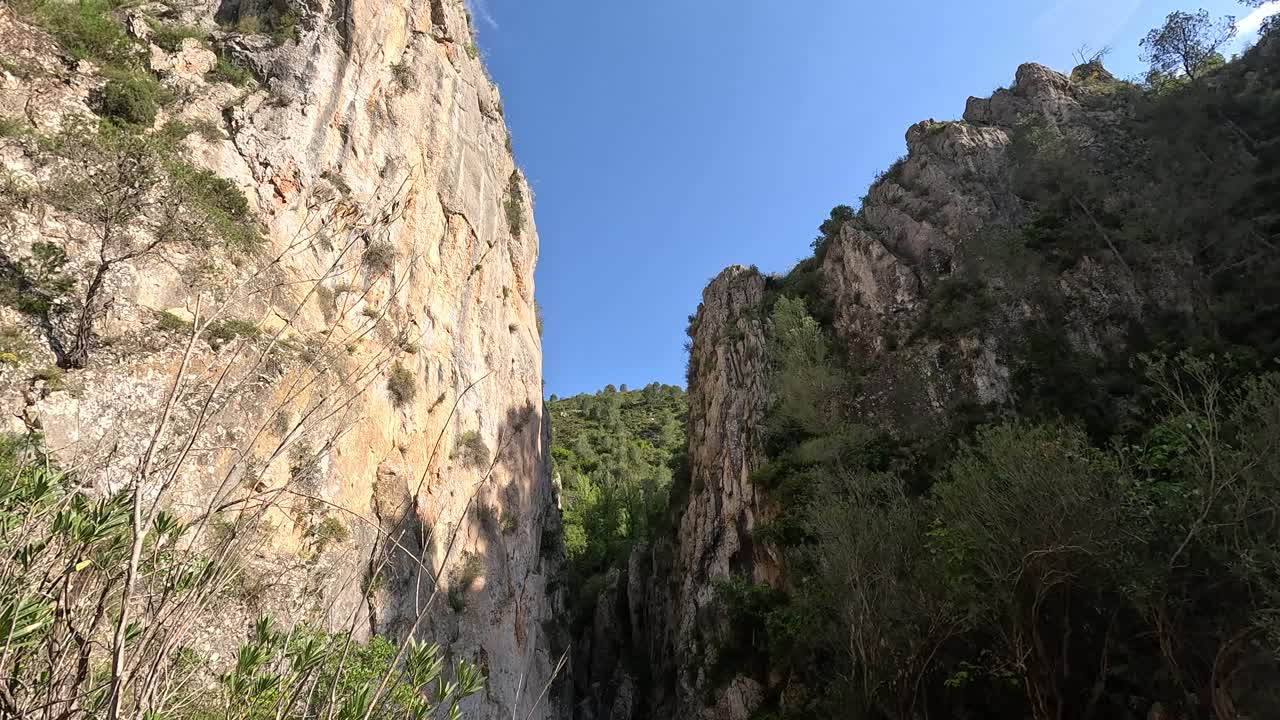 Scenic River Canyon with Rocky Cliffs