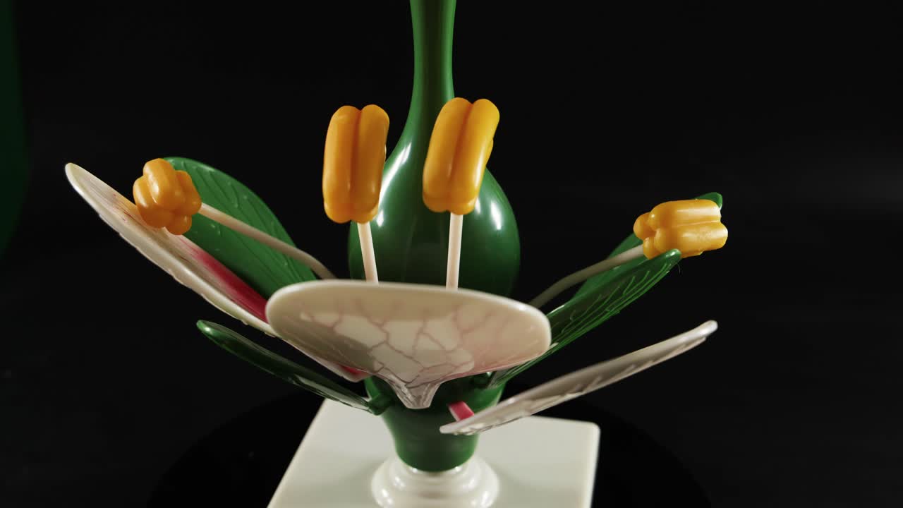 식물 모델 개방의 애니메이션 시스