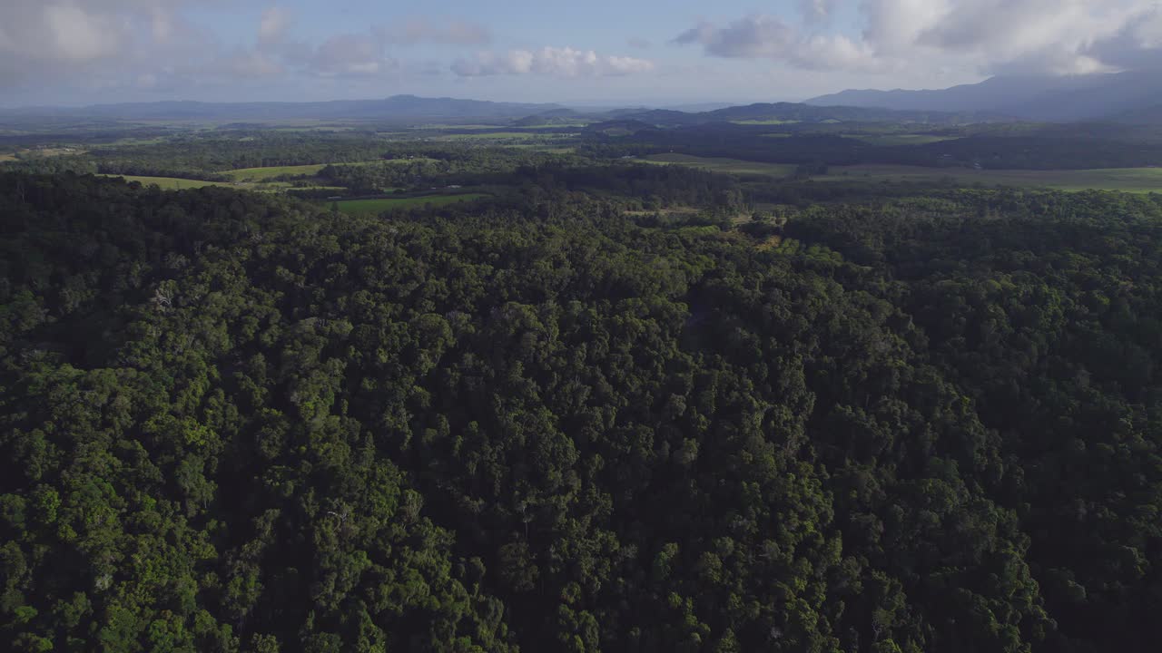 vuelo sobre una densa espesura en port douglas, en el extremo norte tropical de queensland, australia - disparo de drones