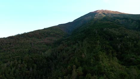 Aftermath-forest-wild-fire-on-mountain-Sumbing-in-Indoensia,-aerial-forward