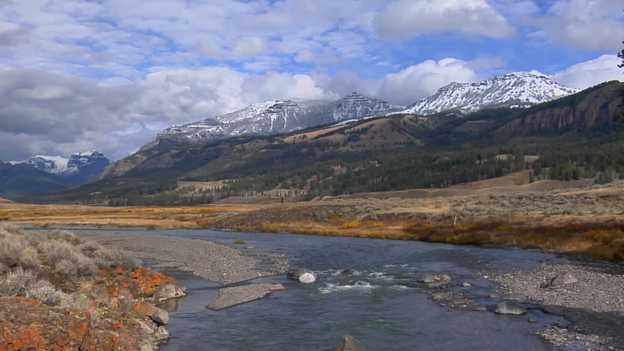небольшой ручей течет в национальном парке йеллоустоун в штате вайоминг