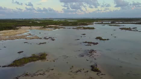 aerial around the area close to the 'secret beach belize' on ambergris caye or bay, belize