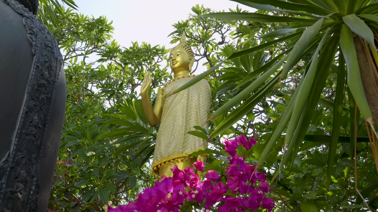 Stunning tilt up over golden Buddha statue surrounded by nature