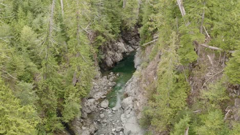 un río fluye a través de un cañón rodeado de árboles