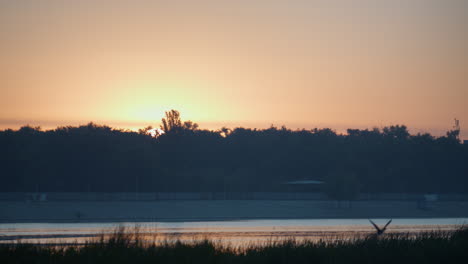 Dunkle-Silhouette-üppiger-Wald-Beleuchtet-Sanfter-Heller-Sonnenuntergang.-Ruhiger-Orangefarbener-Sonnenuntergang