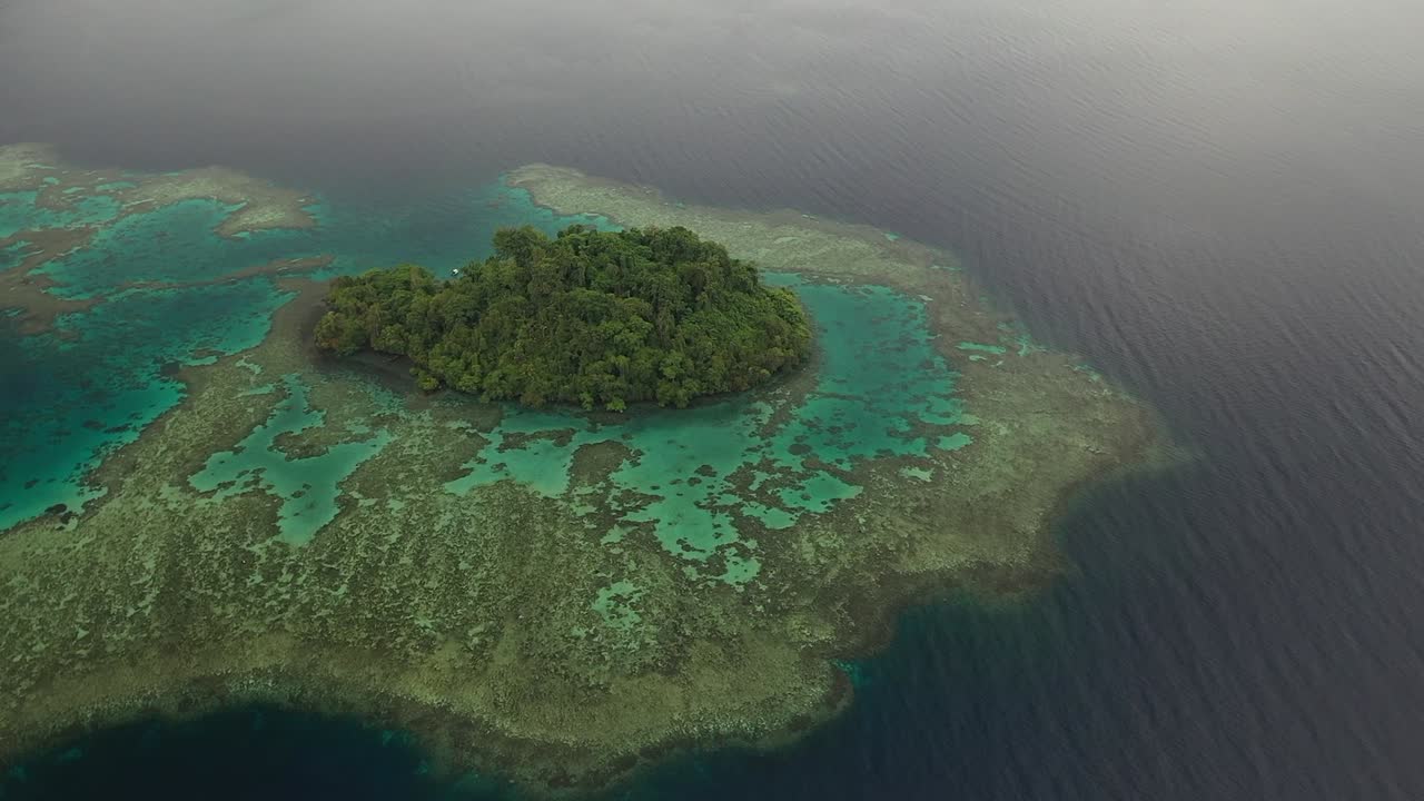 toma aérea de una isla privada exuberante, verde y pequeña con un hermoso arrecife de coral debajo