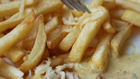 close-up of a person eating french fries with a fork
