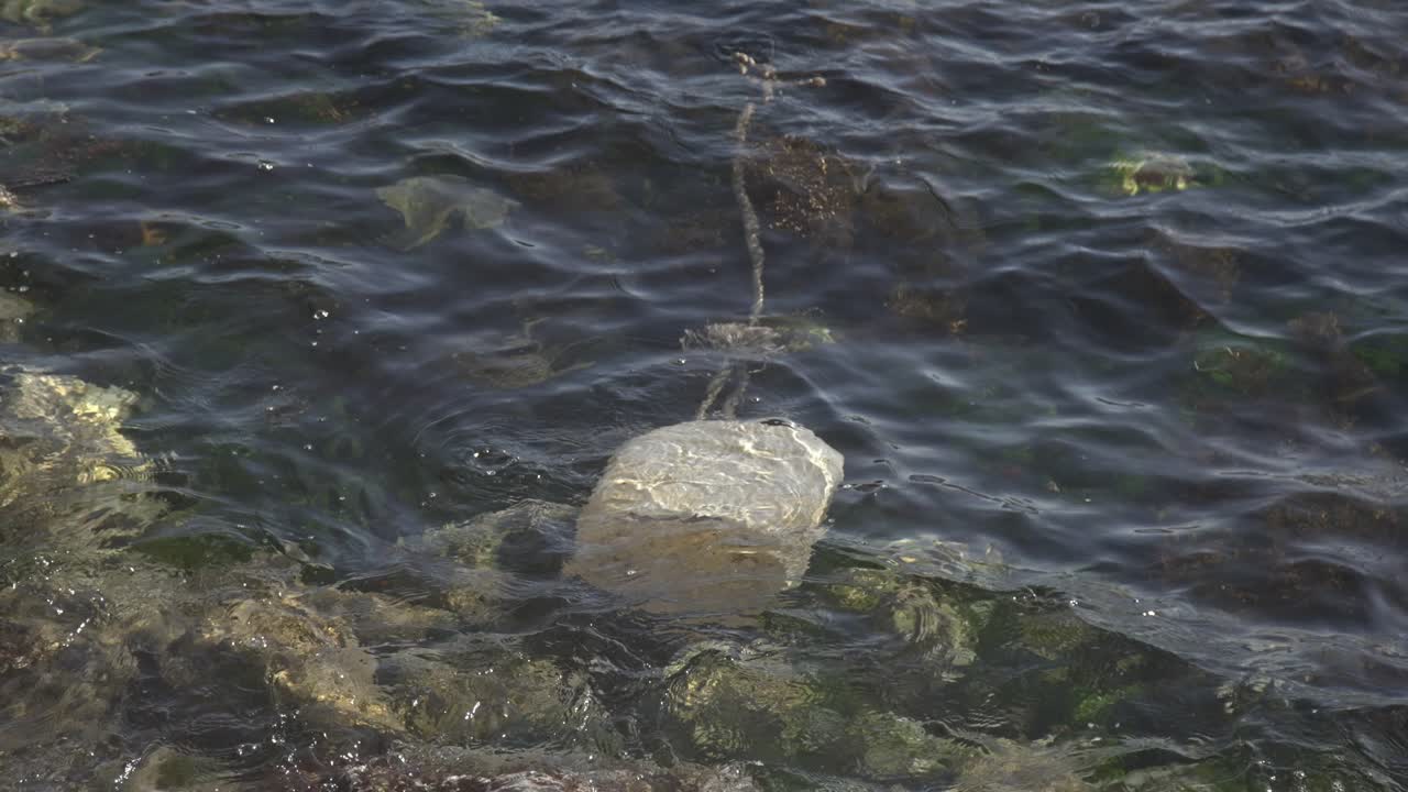 해양 오염과 쓰레기 4k