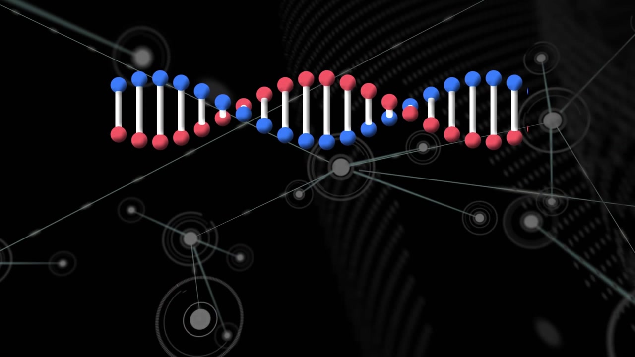 Blue and red rotating DNA animation with alpha channel on green.