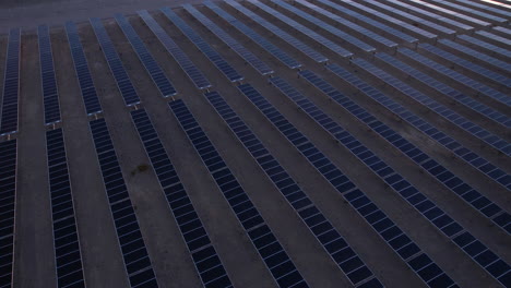 aerial view of solar panels array in big solar power plant, desert landscape of usa, drone shot