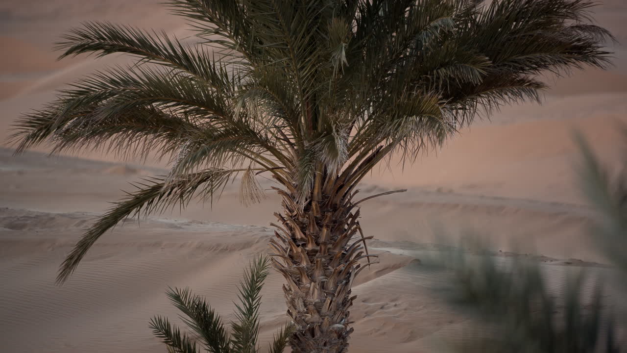 merzouga in the sahara desert in morocco