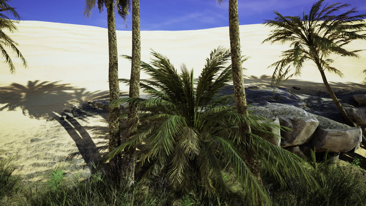 Lush palm trees beside a tranquil water body in a sandy desert landscape
