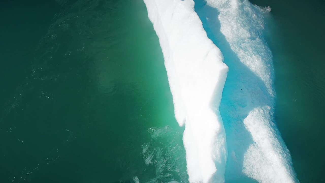 물 속에서 빙산 위를 날다