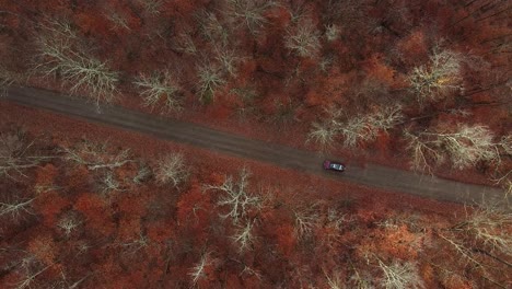 Birdseye-view-of-a-car-with-canoe-driving-down-a-dirt-road-in-a-forest-during-autumn
