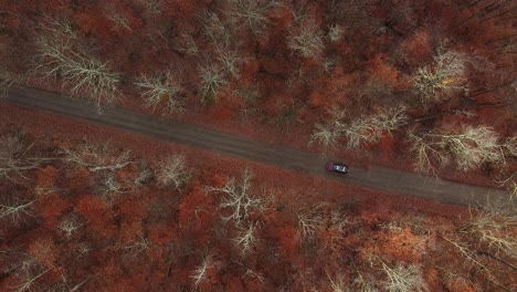 Vista-De-Pájaro-De-Un-Coche-Con-Canoa-Conduciendo-Por-Un-Camino-De-Tierra-En-Un-Bosque-Durante-El-Otoño