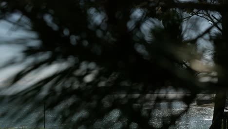 revelación cinematográfica del océano y la isla de enoshima en la distancia
