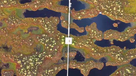 clipe de drone aéreo de cima para baixo de männikjärve bog durante o pôr do sol na estônia