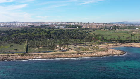 Vista-Aérea-De-La-Costa-Del-Mar-Mediterráneo-Con-Cielo-Azul,-España-Palmeras.