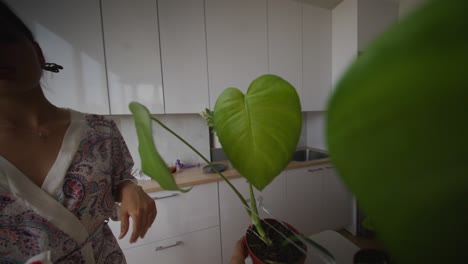 woman watering houseplants in kitchen
