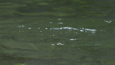 Braune-Wasseramsel,-Die-In-Den-Bergen-In-Klare-Bäche-Taucht,-Um-Nahrung-Zu-Finden