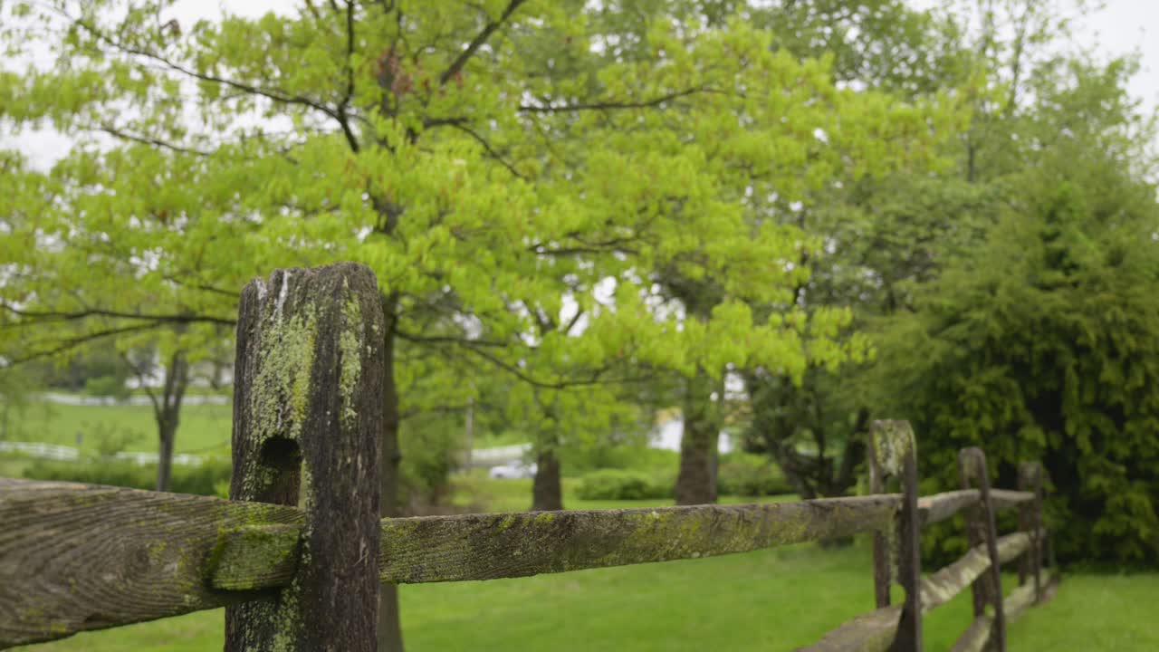 valla de madera al aire libre con árboles y arbustos en el fondo